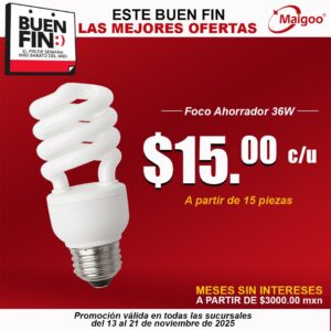 WhatsApp Image 2025-11-11 at 12.43.24 (8)