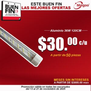 WhatsApp Image 2025-11-11 at 12.43.24 (9)